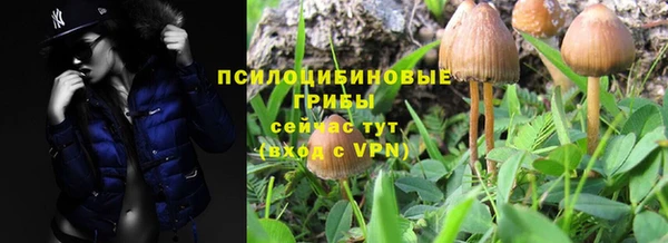 мяу мяу мука Абдулино
